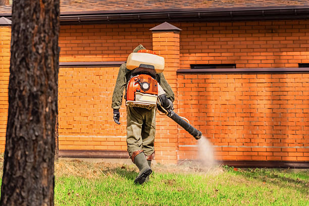 Bed Bug Clearance Verification and Documentation in Cedar Hills